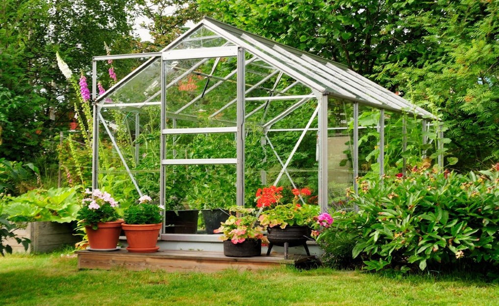 Hobby-Greenhouse