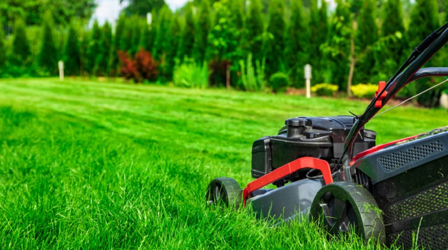 Lawn Care Treatments